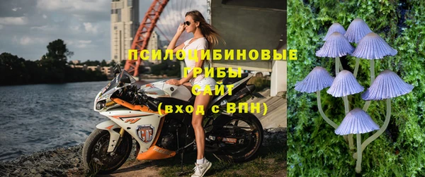 прущая мука Бронницы