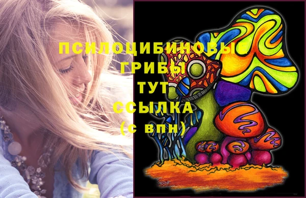 ПСИЛОЦИБИНОВЫЕ ГРИБЫ Бугульма